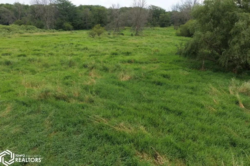 Picture 41
