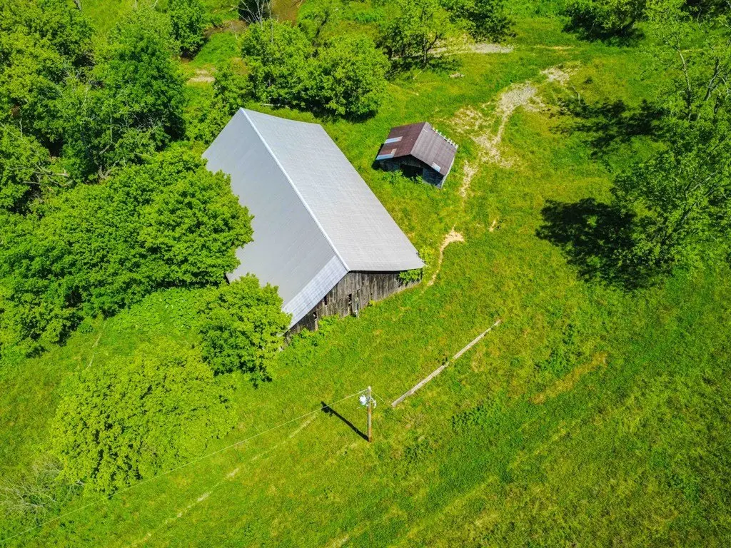 Picture 5