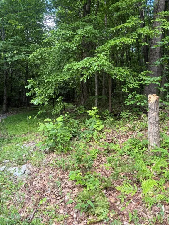 Picture 2