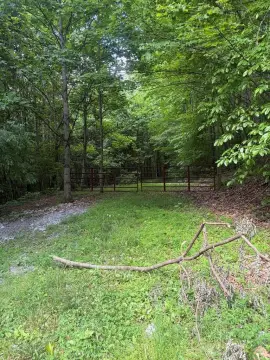 Wooded Recreational Land Tract