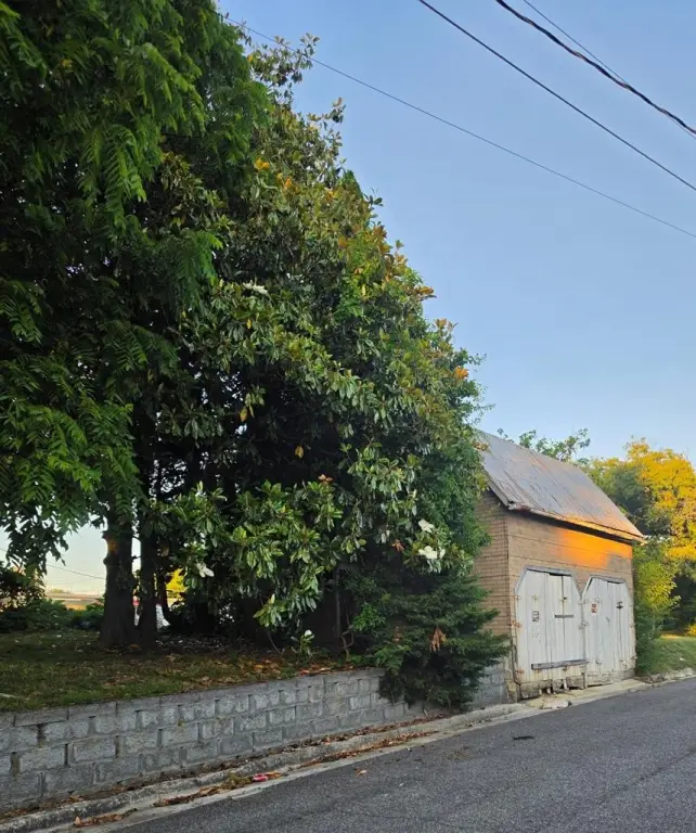 Picture 6