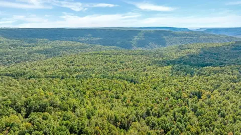 65 Acres of Tennessee Wilderness