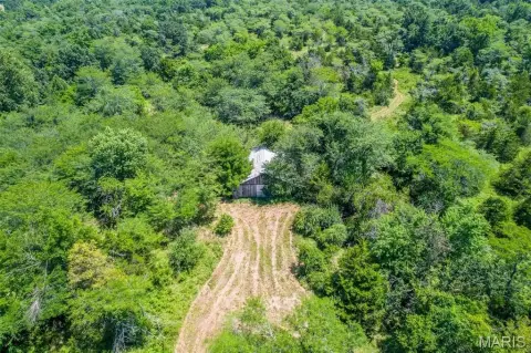81 Acres Investment Opportunity Land