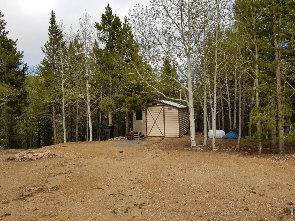 Picture 15