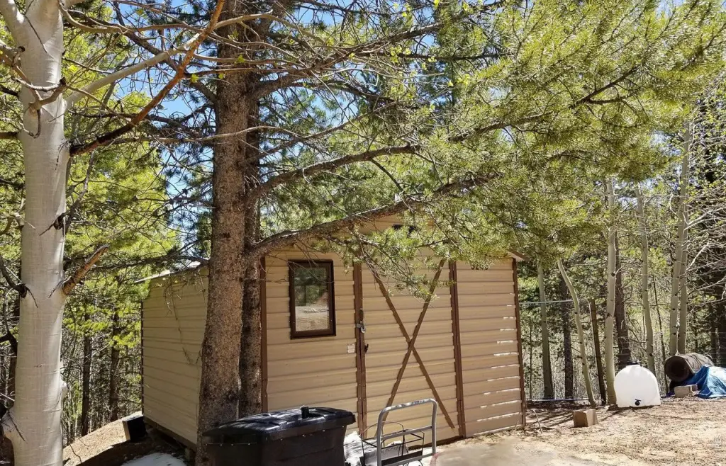 Picture 2