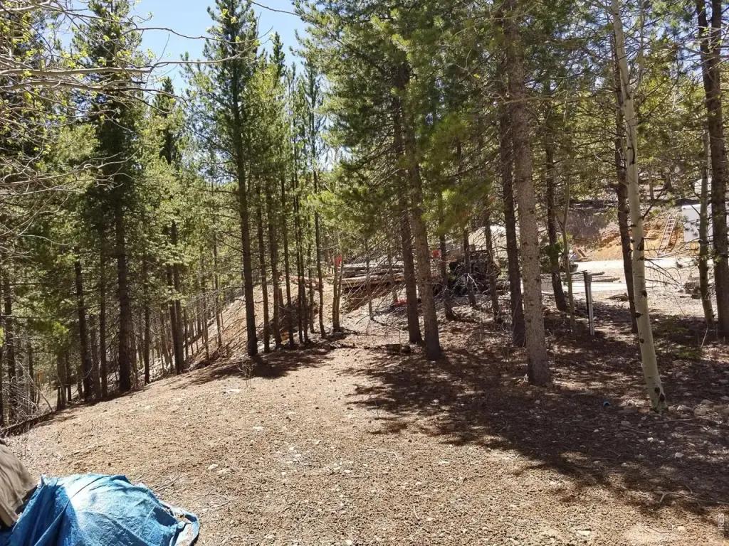 Picture 18