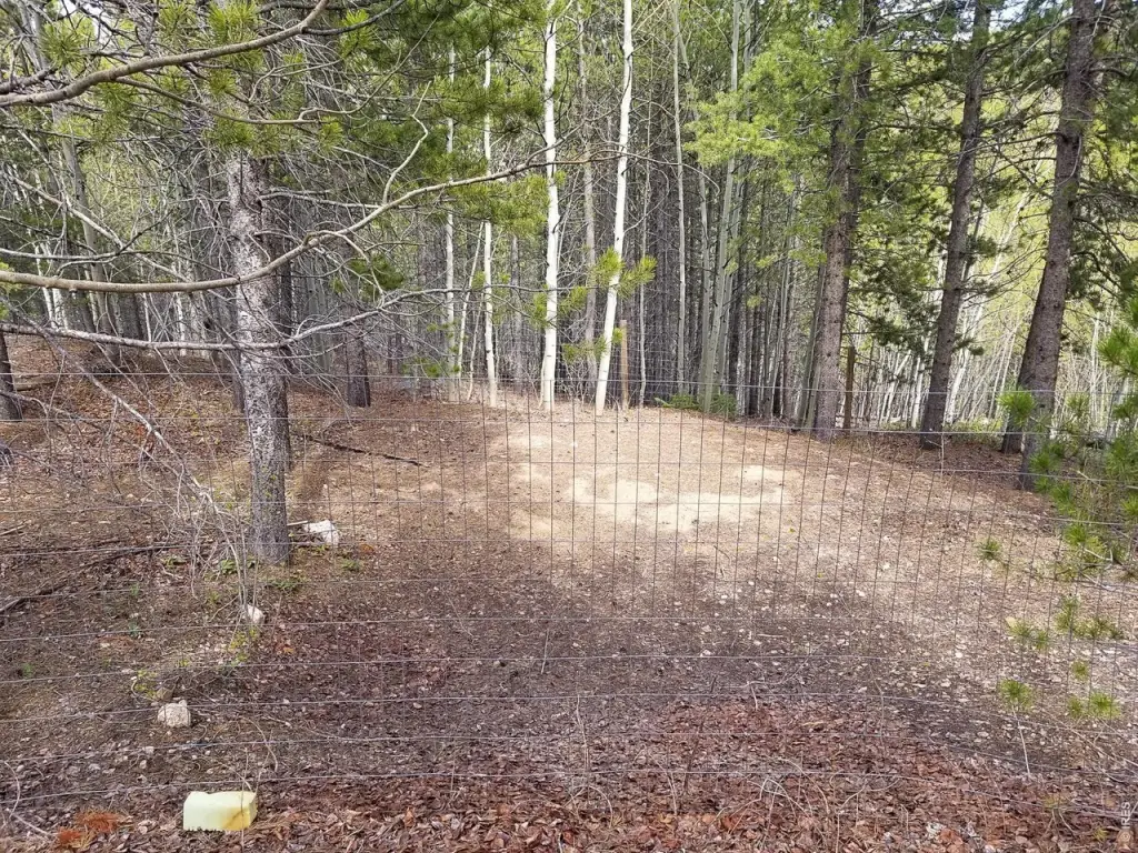 Picture 6
