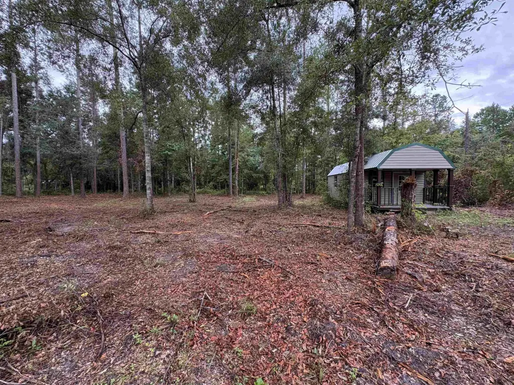 Picture 6