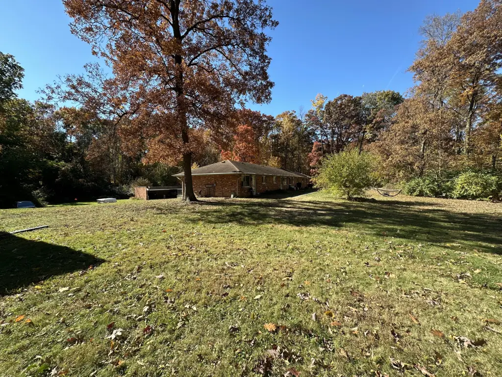 Picture 18