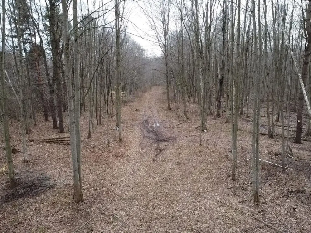 Picture 4