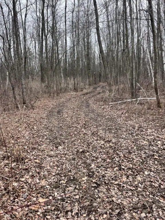 Picture 19