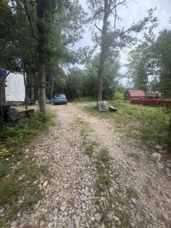 Picture 11