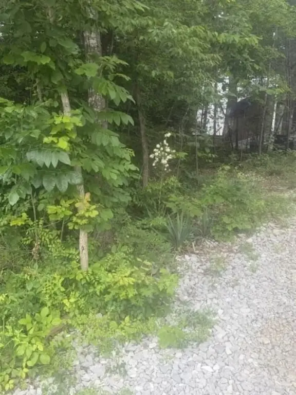 Picture 19
