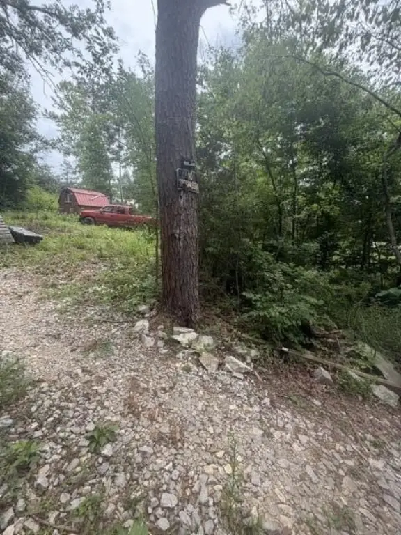 Picture 13