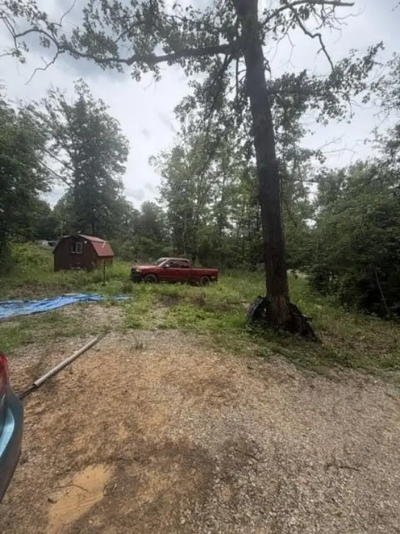 Picture 6