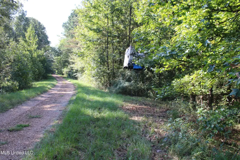 Picture 21