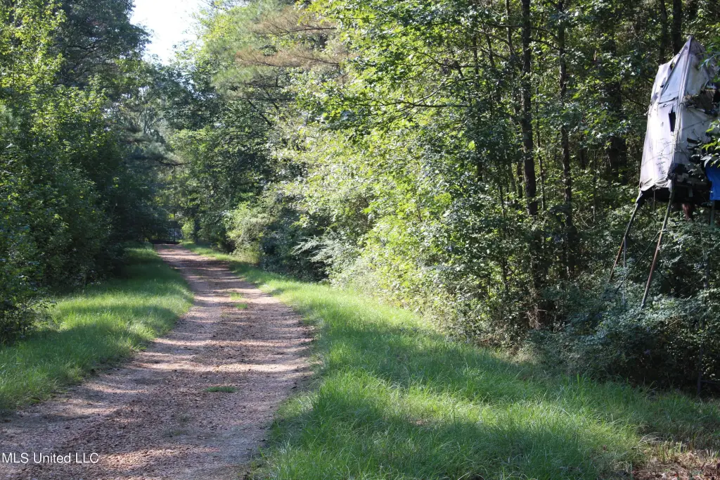 Picture 22