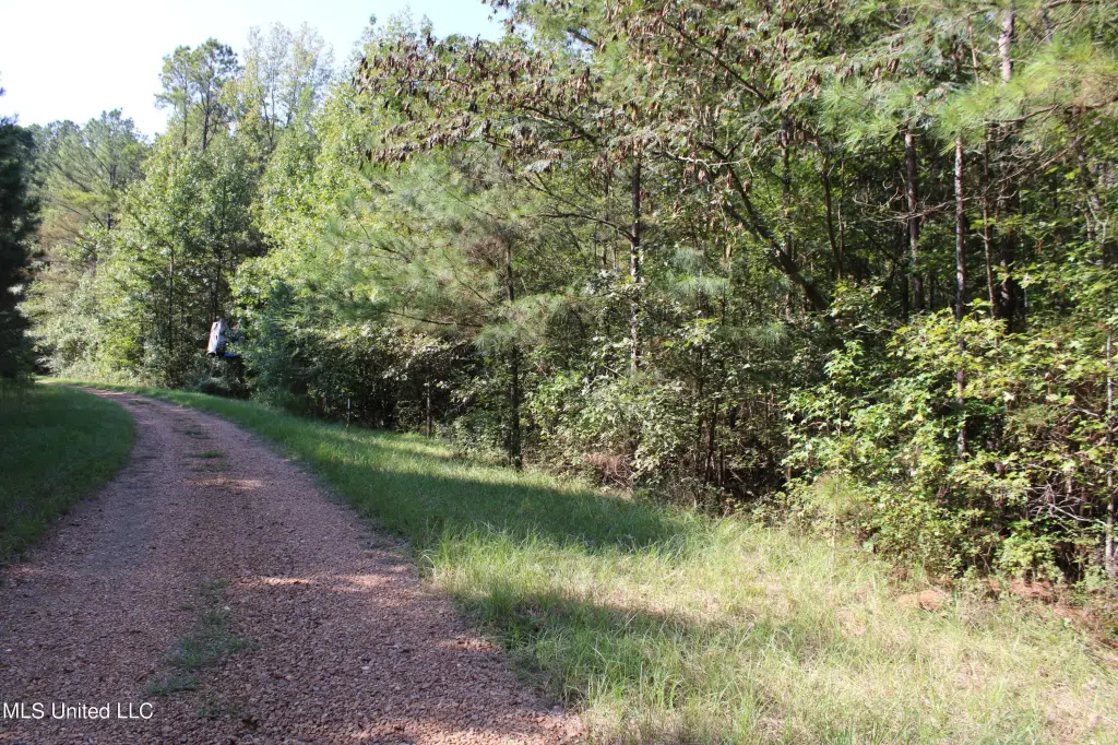 Picture 19
