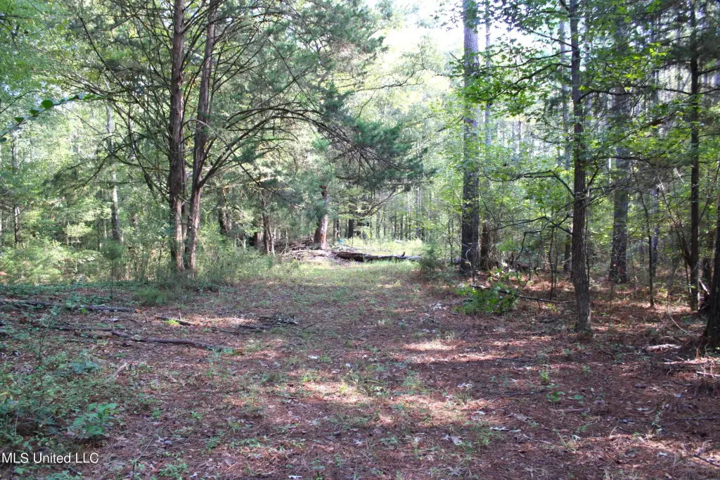 Picture 3