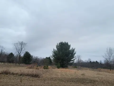 Residential Land in Oconto Falls