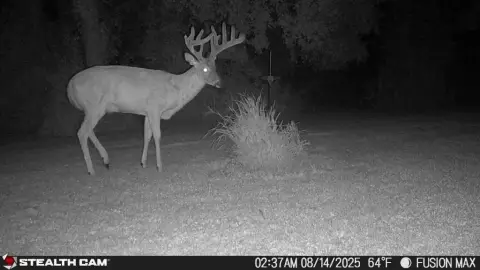 125 Acres Hunting and Recreational Land