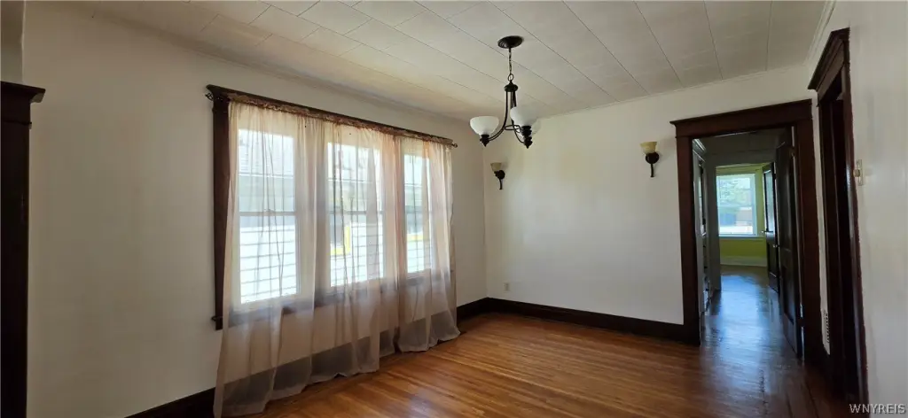 Picture 11
