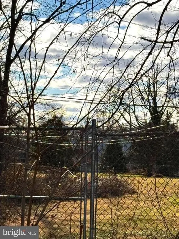 Picture 4