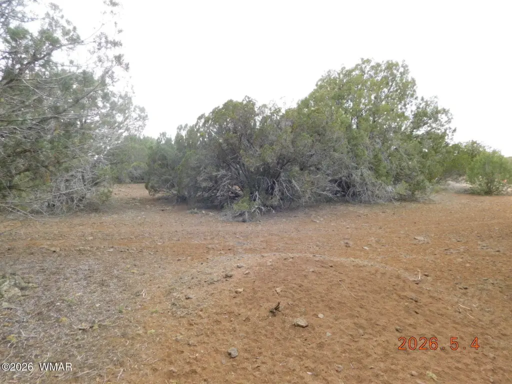 Picture 7