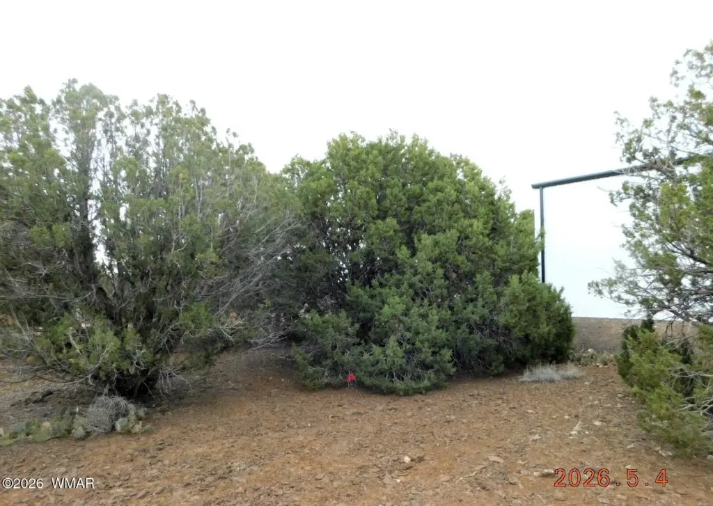 Picture 5