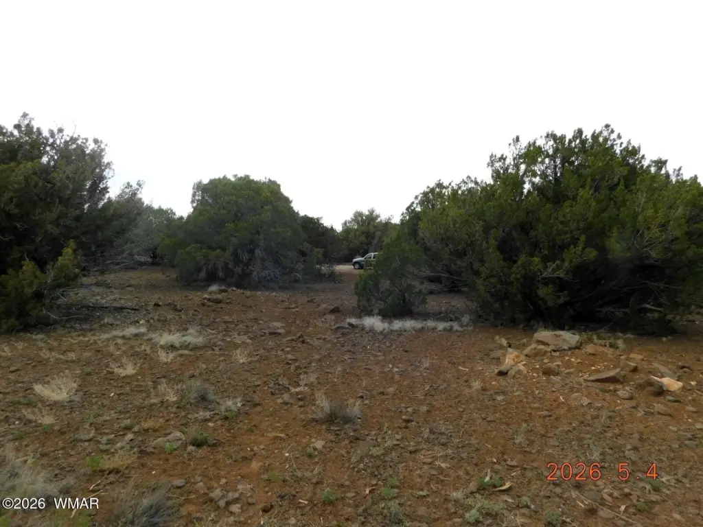 Picture 3