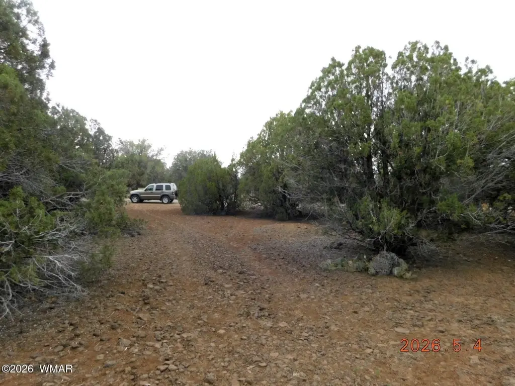 Picture 4