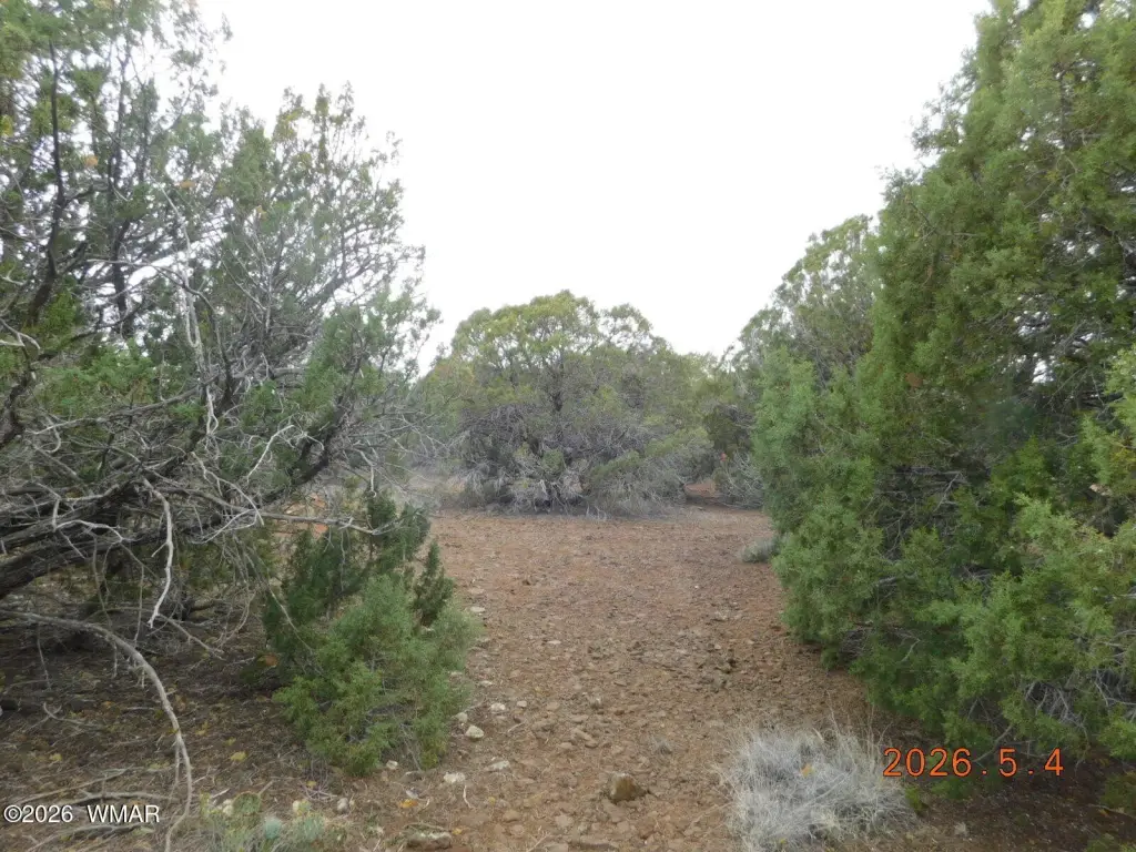Picture 6