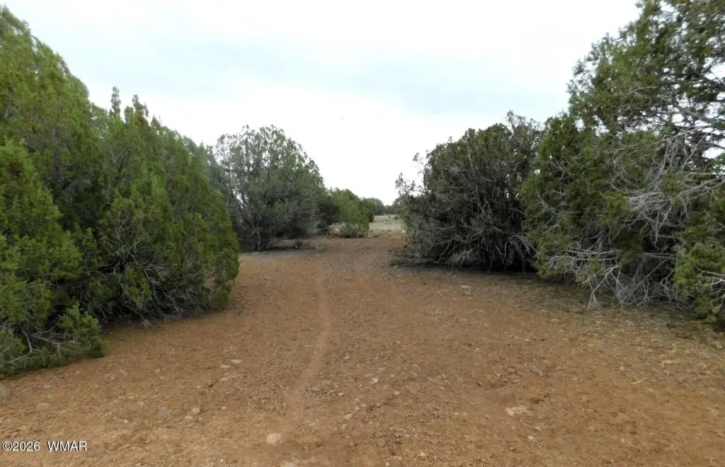 Picture 2