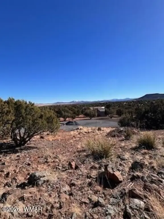 Picture 23
