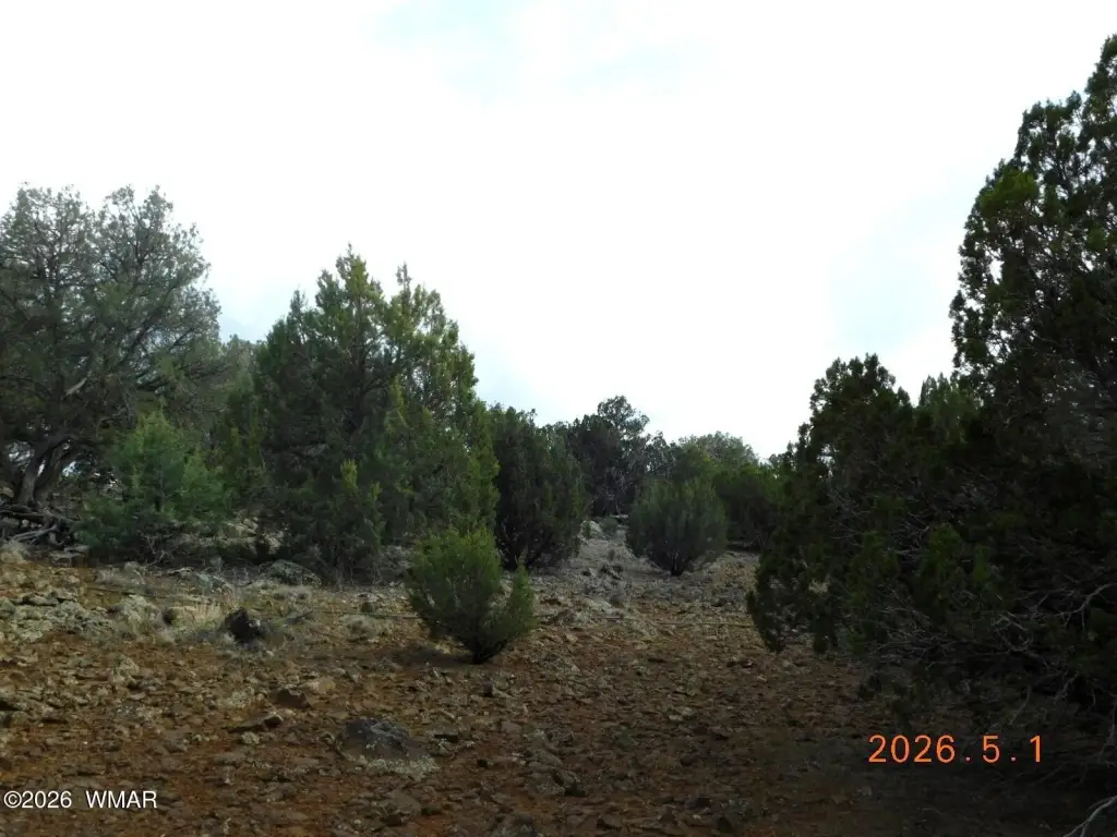Picture 8
