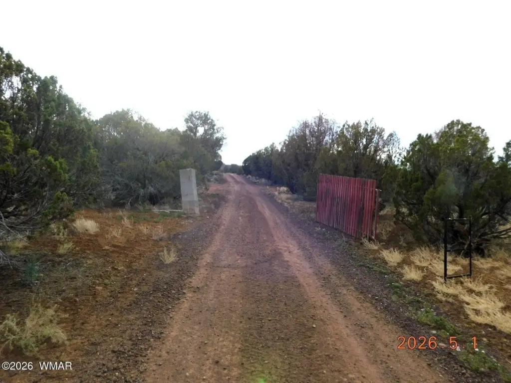Picture 2