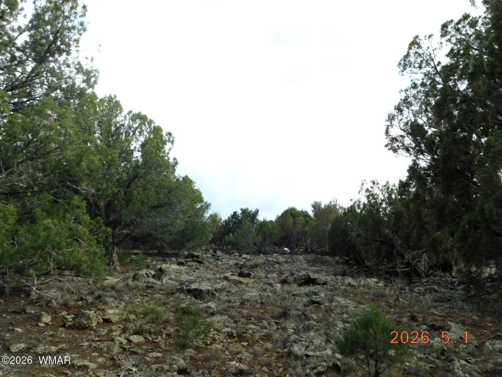 Picture 9