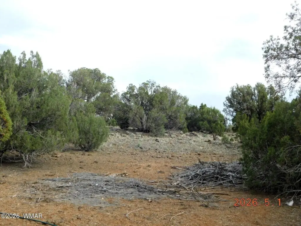 Picture 6