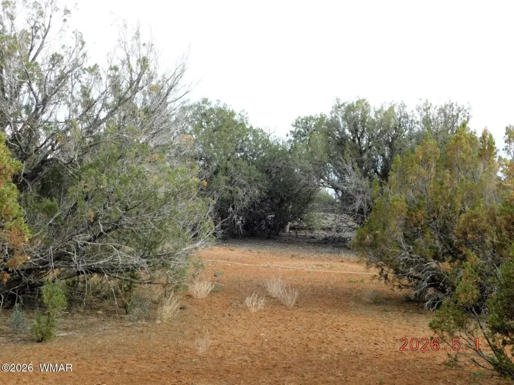 Picture 3