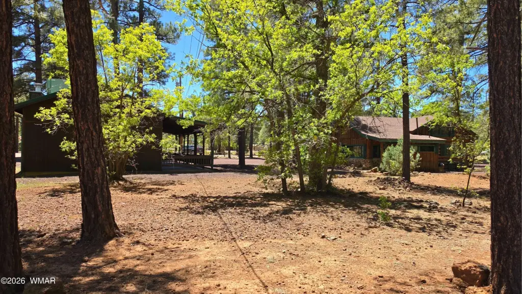 Picture 22