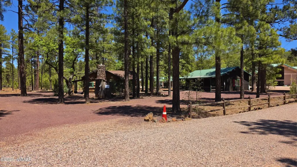 Picture 21