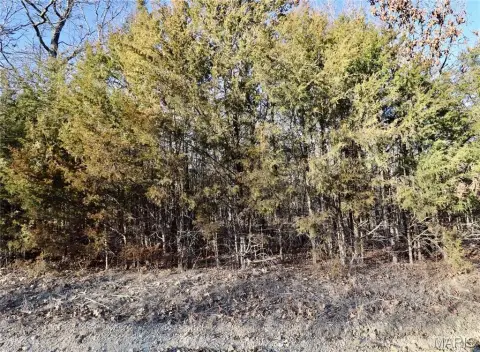 32 Acres of Wooded Land