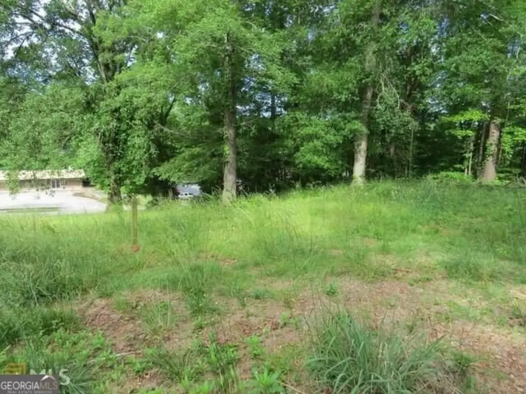Picture 6