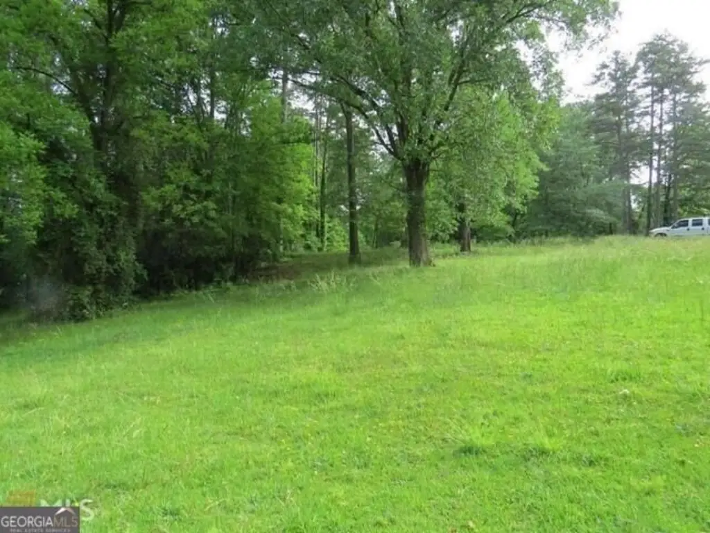 Picture 8