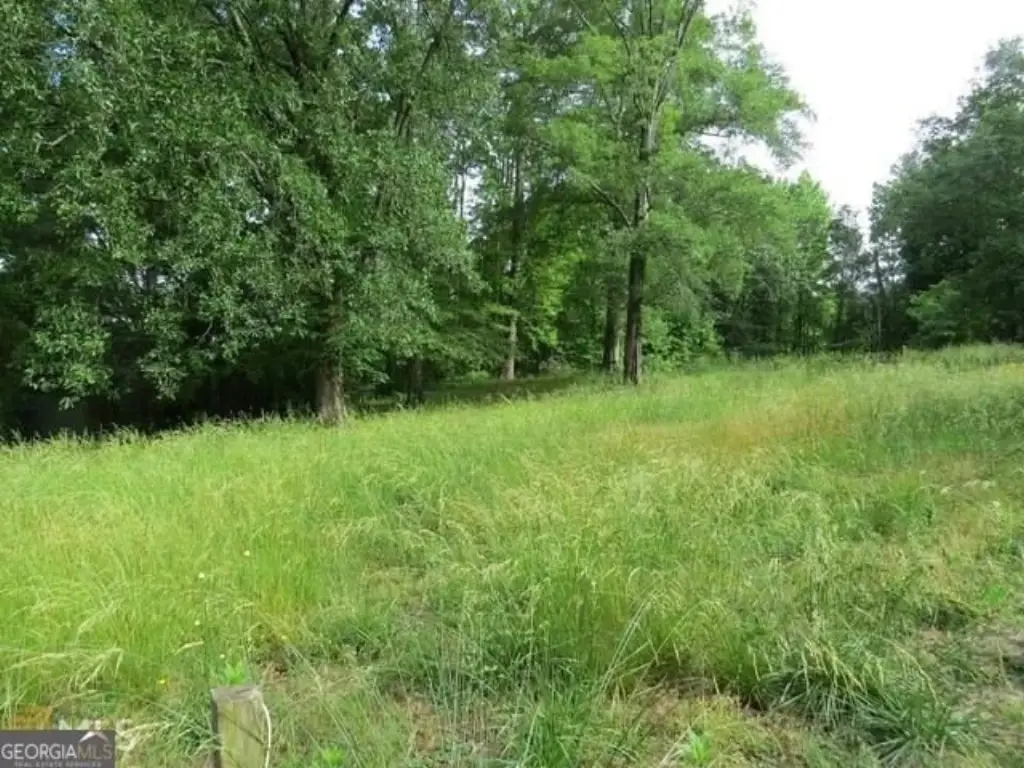 Picture 7