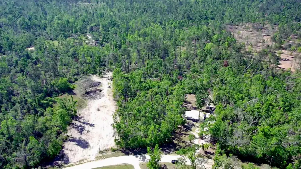 Picture 2