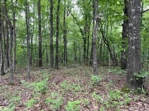 Picture of Land at Acres On Mdw Crk Dr 12, Harrison, AR