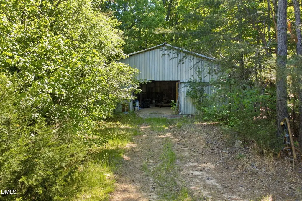 Picture 12