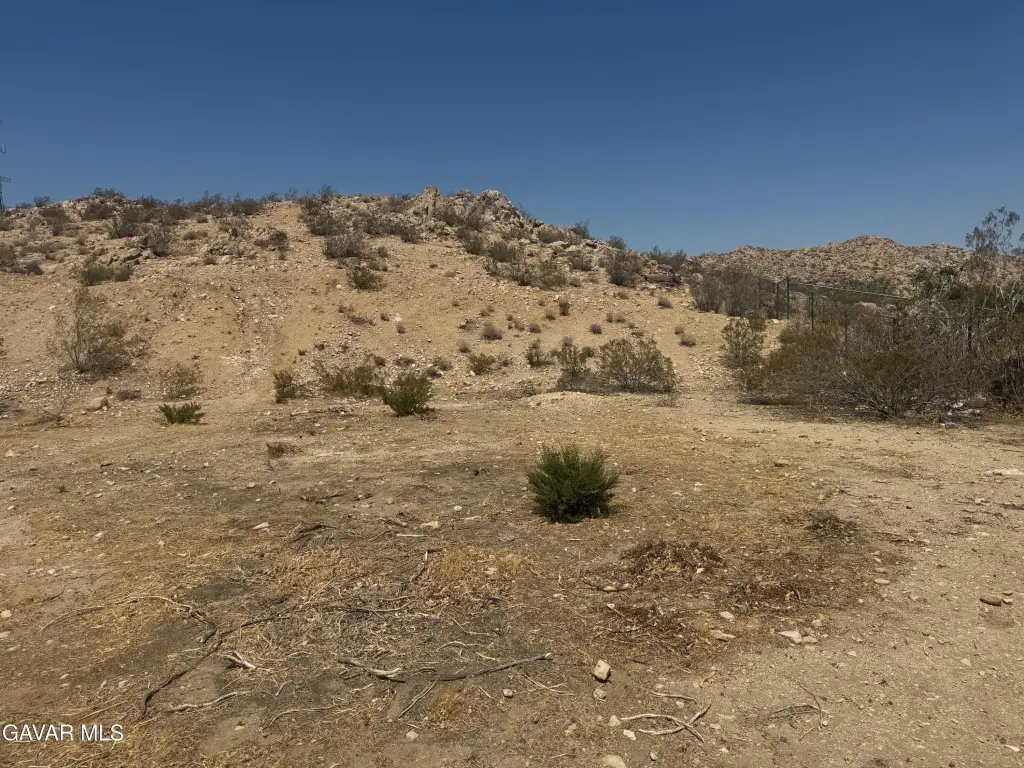 Picture 6