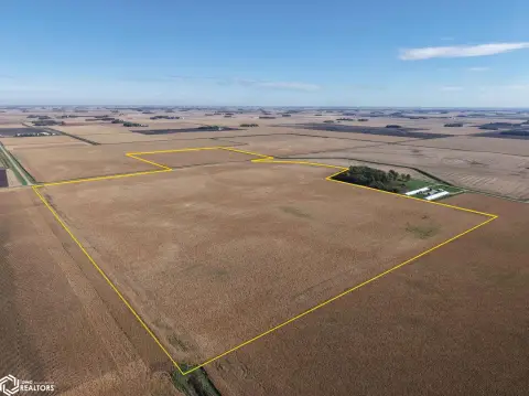 Farmland Auction Near Nicollet, Minnesota